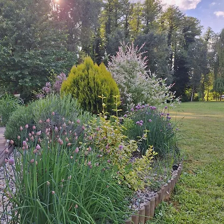 égerliget Apartamento *